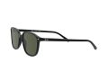 Ray-Ban Leonard Solbriller RB 2193 901/31