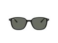 Ray-Ban Leonard Solbriller RB 2193 901/58
