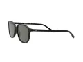 Ray-Ban Leonard Solbriller RB 2193 901/58