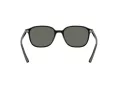 Ray-Ban Leonard Solbriller RB 2193 901/58