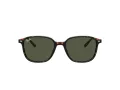 Ray-Ban Leonard Solbriller RB 2193 902/31
