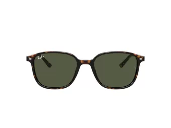 Ray-Ban Leonard Solbriller RB 2193 902/31