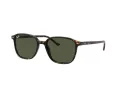 Ray-Ban Leonard Solbriller RB 2193 902/31