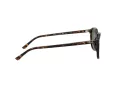 Ray-Ban Leonard Solbriller RB 2193 902/31