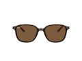 Ray-Ban Leonard Solbriller RB 2193 902/57