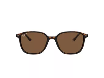 Ray-Ban Leonard Solbriller RB 2193 902/57