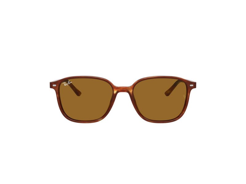 Ray-Ban Leonard Solbriller RB 2193 954/33
