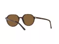 Ray-Ban Thalia Solbriller RB 2195 902/57