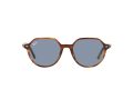 Ray-Ban Thalia Solbriller RB 2195 954/62
