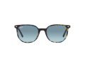 Ray-Ban Elliot Solbriller RB 2197 13563M