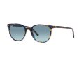 Ray-Ban Elliot Solbriller RB 2197 13563M