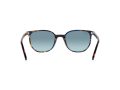 Ray-Ban Elliot Solbriller RB 2197 13563M