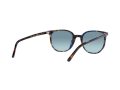 Ray-Ban Elliot Solbriller RB 2197 13563M