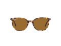 Ray-Ban Elliot Solbriller RB 2197 1357/57