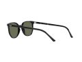Ray-Ban Elliot Solbriller RB 2197 901/31