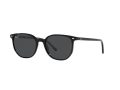 Ray-Ban Elliot Solbriller RB 2197 901/48