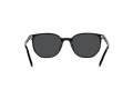 Ray-Ban Elliot Solbriller RB 2197 901/48