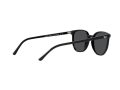 Ray-Ban Elliot Solbriller RB 2197 901/48