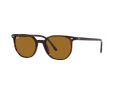 Ray-Ban Elliot Solbriller RB 2197 902/33