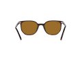 Ray-Ban Elliot Solbriller RB 2197 902/33