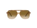 Ray-Ban Bill Solbriller RB 2198 129251