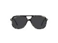 Ray-Ban Bill Solbriller RB 2198 133348