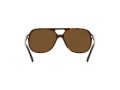 Ray-Ban Bill Solbriller RB 2198 902/57