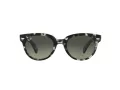 Ray-Ban Orion Solbriller RB 2199 1333/71