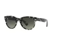 Ray-Ban Orion Solbriller RB 2199 1333/71