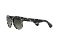 Ray-Ban Orion Solbriller RB 2199 1333/71