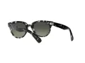 Ray-Ban Orion Solbriller RB 2199 1333/71