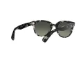 Ray-Ban Orion Solbriller RB 2199 1333/71