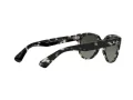 Ray-Ban Orion Solbriller RB 2199 1333/71