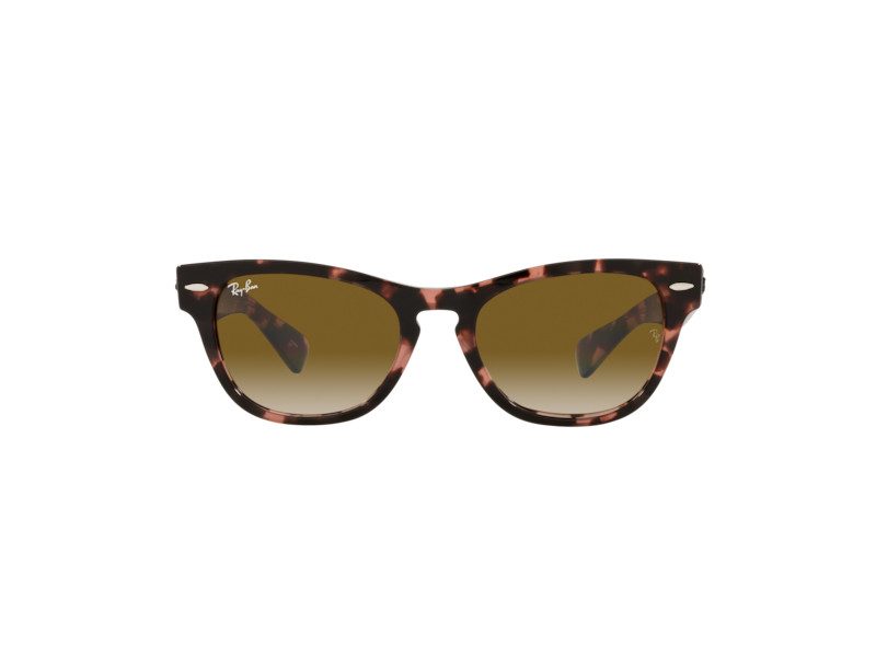 Ray-Ban Laramie Solbriller RB 2201 1334/51