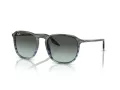 Ray-Ban Solbriller RB 0RB2203 1391GK