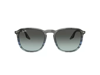 Ray-Ban Solbriller RB 0RB2203 1391GK