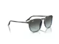 Ray-Ban Solbriller RB 0RB2203 1391GK