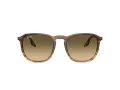 Ray-Ban Solbriller RB 0RB2203 13920A