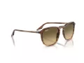Ray-Ban Solbriller RB 0RB2203 13920A