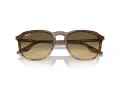 Ray-Ban Solbriller RB 0RB2203 13920A