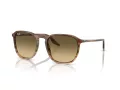 Ray-Ban Solbriller RB 0RB2203 13920A
