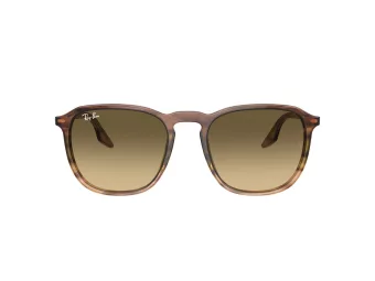 Ray-Ban Solbriller RB 0RB2203 13920A