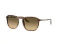 Ray-Ban Solbriller RB 0RB2203 13920A