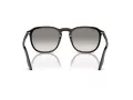 Ray-Ban Solbriller RB 0RB2203 901/32