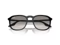 Ray-Ban Solbriller RB 0RB2203 901/32