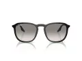 Ray-Ban Solbriller RB 0RB2203 901/32