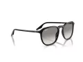 Ray-Ban Solbriller RB 0RB2203 901/32