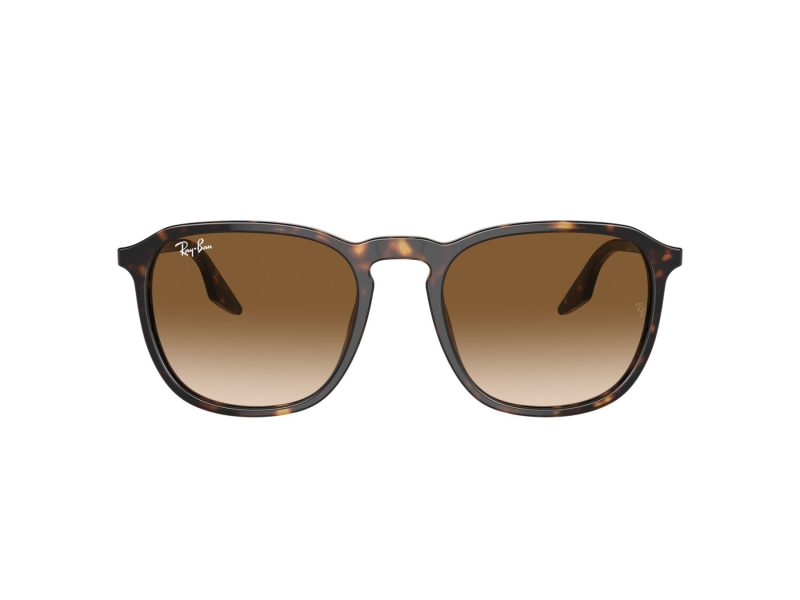 Ray-Ban Solbriller RB 0RB2203 902/51