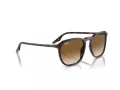 Ray-Ban Solbriller RB 0RB2203 902/51