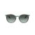 Ray-Ban Solbriller RB 0RB2204 1394GK